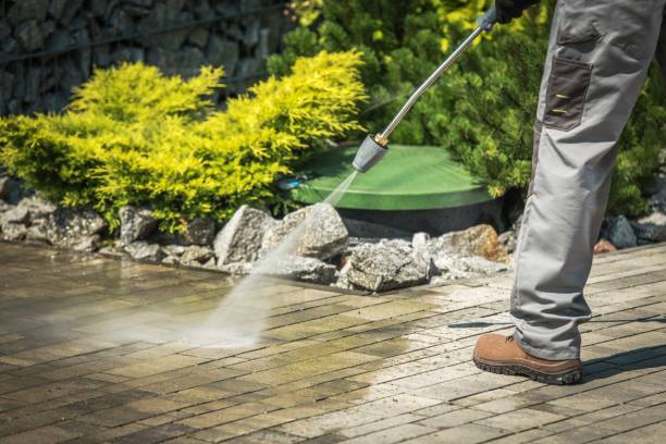 Best Fence Cleaning  in Montgomery, MN