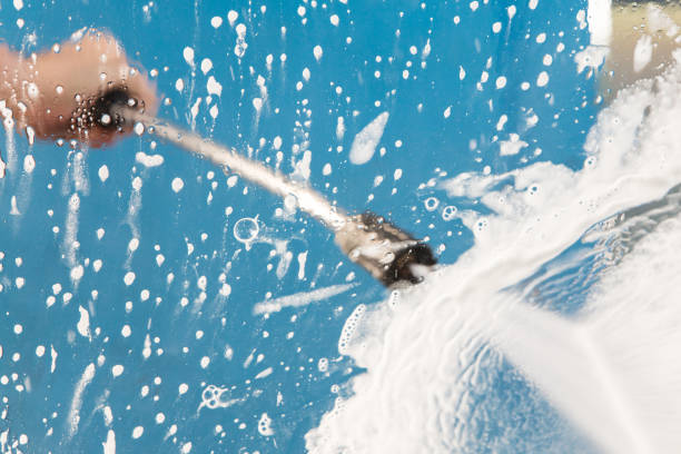 Best Pre-Holiday Cleaning  in Montgomery, MN